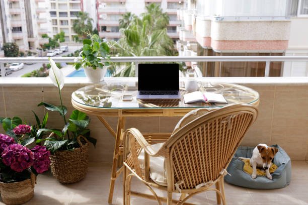 wellness meets hustle